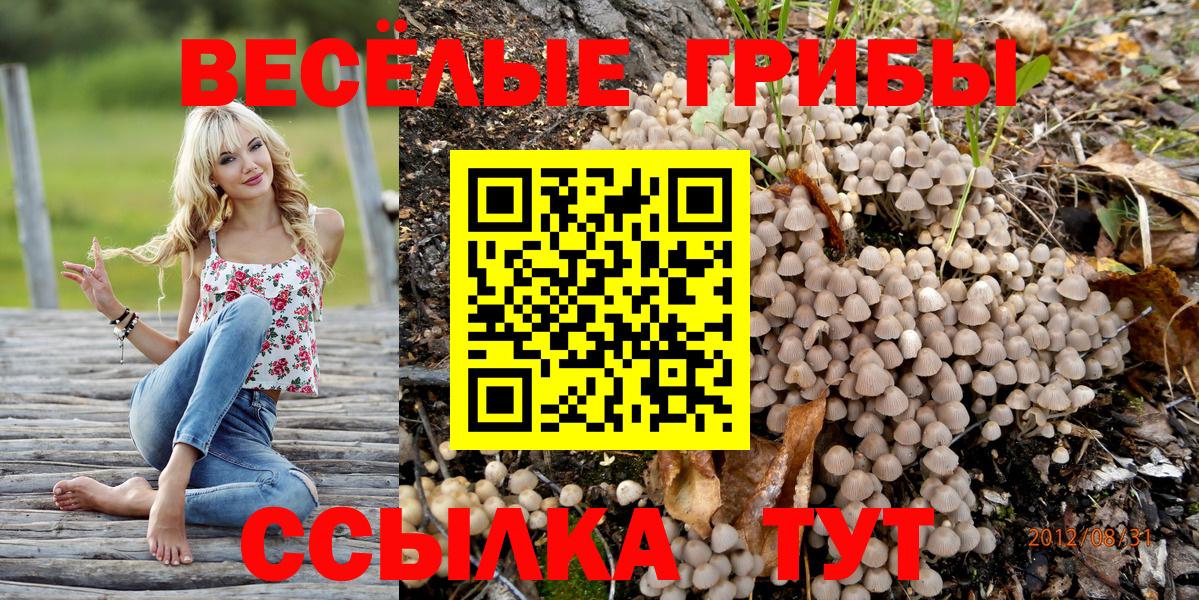 Псилоцибиновые грибы мухоморы Маркс