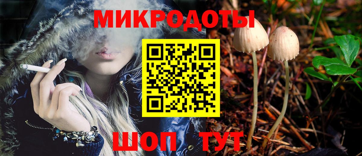 Псилоцибиновые грибы ЛСД  Маркс  Псилоцибиновые грибы Psilocybine cubensis 